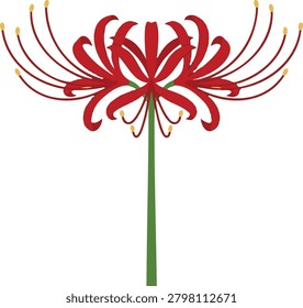 Vibrant red spider lily flower with long thin green stem and delicate yellow-tipped stamens in vector art
