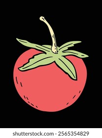 A vibrant red tomato, meticulously drawn, stands out against a stark black backdrop.