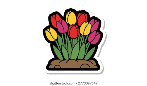Vibrant red yellow pink tulip flowers