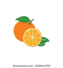 Vibrant and refreshing Fresh Orange Slice vector illustration, featuring detailed and realistic slices with bright, juicy colors. Perfect for fruit-related designs, beverages, and health products.