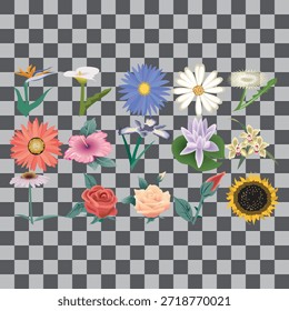 Vibrant seamless floral pattern featuring colorful summer blossoms and pink daisies in a vector illustration design for elegant nature wallpaper and textile tiles.