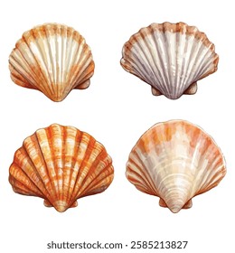 Vibrant seashell illustrations: diverse shapes and patterns, perfect for beach-themed designs, nature projects, or adding coastal charm to any creation.