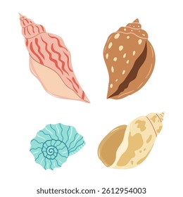 Vibrant seashells displayed on a light background, highlighting their unique shapes