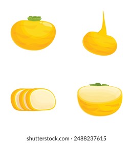 Vibrant set of cartoon illustrations featuring a whole and sliced yellow squash and an onion