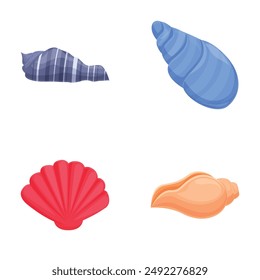 Vibrant set of four isolated seashell illustrations in a clean, flat style