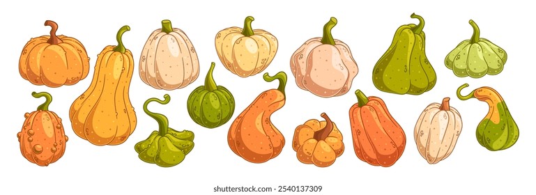 Vibrant Set Of Pumpkins And Gourds In Different Shapes And Colors, Perfect For Autumn And Harvest Themes