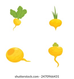 Vibrant set of yellow root vegetable graphics, perfect for various design projects
