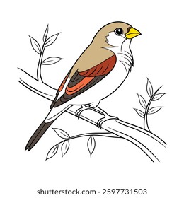 Vibrant Silverbill Bird Colorful Illustration. Concept of Bird Design.