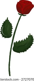 Una vibrante rosa roja única con un largo tallo verde y dos hojas verdes, sobre un fondo blanco limpio. Esta elegante flor simboliza el amor y la belleza.