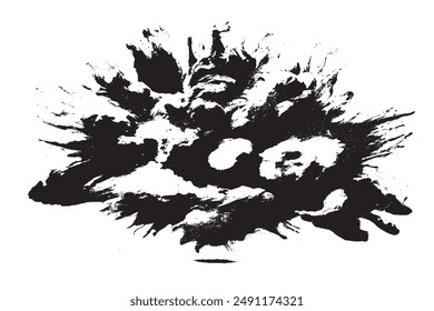 Vibrant Spectrum Panoramic Explosion of Black and White Paint on White Background