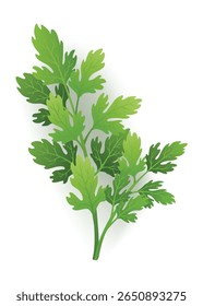 Um ramo vibrante de salsa com folhas verdes frescas no branco
