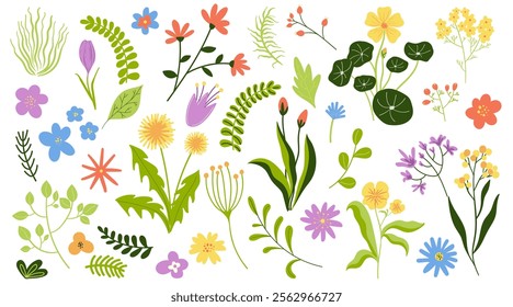 Vibrant Spring Flowers and plants Set, flat style, Vector Illustrations