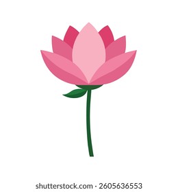 A vibrant, stylized illustration of a pink lotus flower.
