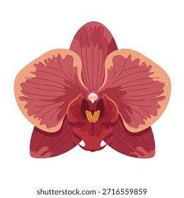 A vibrant, stylized illustration of a single orchid flower with deep red petals and lighter edges, showcasing its intricate botanical details.