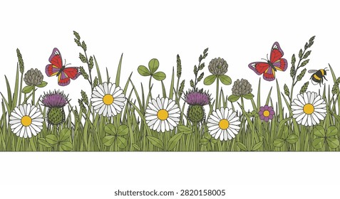 Vibrant summer meadow border illustration featuring white daisies, purple thistles, red clover, and green grass with flying butterflies and a bumblebee on a clean white background.