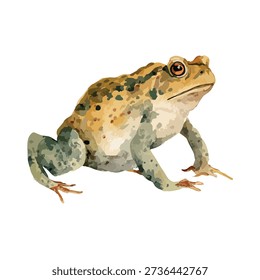 Vibrant toad vector illustration with detailed skin texture, perfect for nature, wildlife, or educational designs. Ideal for children's books.