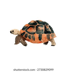 Vibrant tortoise vector illustration, perfect for nature, wildlife, or educational projects. Isolated on white for easy graphic design use.