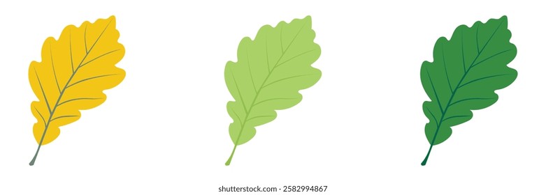 Vibrant Tree Leaves Vector Illustration  Transparent  Editable Design