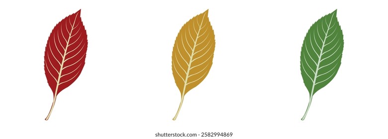 Vibrant Tree Leaves Vector Illustration  Transparent  Editable Design