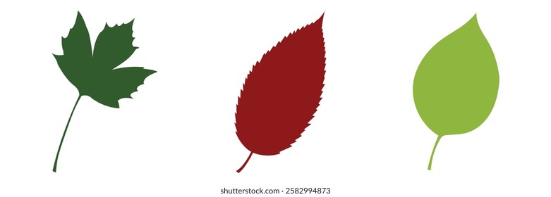 Vibrant Tree Leaves Vector Illustration  Transparent  Editable Design