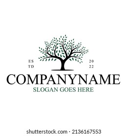 Logo del diseño del árbol vibrante logotipo del árbol vida del árbol