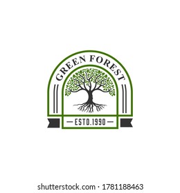vibrant tree logo design, root vector - Tree of life logo design inspiration isolated on white background.