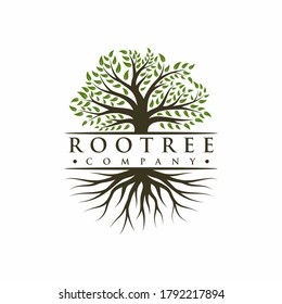 Vibrant tree logo design, tree and root vector. Tree of life logo design inspiration