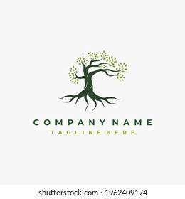 Vibrant tree logo design, tree and root vector. Tree of life logo design inspiration