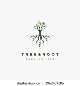 Vibrant tree logo design, tree and root vector. Tree of life logo design inspiration
