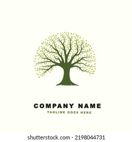 Vibrant tree logo design, tree vector. Tree of life logo design inspiration