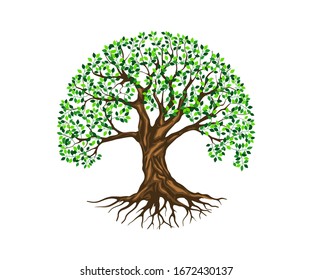 Vibrant tree logo template in circular shape, olive tree logo vector isolated