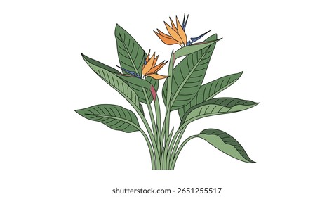 Vibrant tropical bird of paradise flower arrangement with lush green foliage and delicate blue accents perfect for exotic floral designs