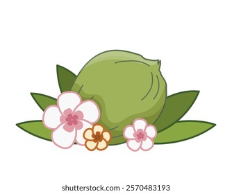 Vibrant tropical Coconut displayed in green shell, adorned with pink flowers and green leaves. Isolated vector illustration.