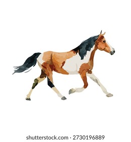 Lebendige Vektorkunst eines Pferdes in dynamischer Bewegung. Ideal für Reitsport, Kinderbücher oder digitale Illustrationsprojekte zum Thema Natur.