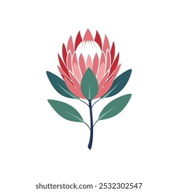 A vibrant vector artwork featuring exotic Protea flowers in a tropical pattern, perfect for decorative designs, apparel, and prints.