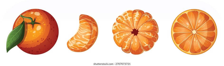 Vibrante Clipart de Vector de cuatro etapas de mandarina naranja: fruta entera, cuña individual, pelada y rebanada cruzada simétrica, ideal para marketing global y contenido de bienestar
