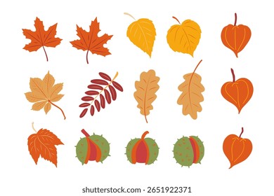 Coleção de vetor vibrante de elementos de outono: castanhas em conchas espetadas e folhas coloridas variadas da queda (bordo, carvalho). Perfeito para projetos sazonais, padrões, scrapbooking. Estilo plano.