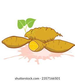 Vibrant Vector Design of Yellow Sweet Potato