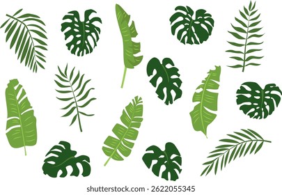 Vibrant vector exotic leaves bundle with palm fronds, monstera, and banana leaves in lush greens. Perfect for botanical prints, summer designs, or tropical branding. Organic shapes