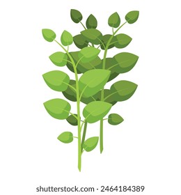 Vibrante gráfico de Vector de frondoso follaje verde, ideal para Elementos de diseño