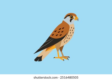 Uma ilustração vetorial vibrante do pássaro americano Kestrel, mostrando suas características e cores distintas, perfeitas para projetos com temática de vida selvagem, logotipos e projetos educacionais.