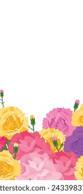 Vibrant vector illustration assorted colorful carnations. Pink, yellow, purple flowers buds, ideal spring themes. Floral background copy space Mother s Day Women s Day