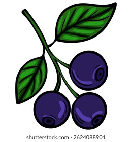 A vibrant vector illustration of a blueberry branch featuring three ripe blueberries and two green leaves. The design is colorful and cartoonish, emphasizing the freshness of the fruit.