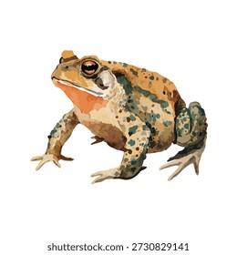 Vibrant vector illustration of a common toad, perfect for nature designs, educational materials, or wildlife projects.