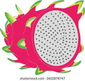 A vibrant vector illustration of a dragon fruit, also known as pitaya, with its bright pink skin and white flesh dotted with small black seeds