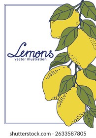 A vibrant vector illustration featuring a bunch of lemons attached to lush green leaves. The design captures the essence of freshness and is perfect for use in culinary and nature-inspired projects.