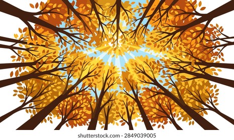 A vibrant vector illustration featuring a worm's-eye perspective looking up into the canopy of a deciduous forest during autumn. The branches are covered in dense yellow, orange, and brown leaves. Bright sunbeams radiate from the center against a clear light blue sky, creating a warm and peaceful seasonal atmosphere.