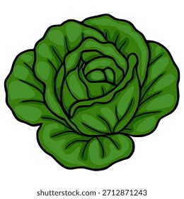 Ilustração vetorial vibrante de uma cabeça de alface verde fresca e folhosa, mostrando sua estrutura em camadas detalhada e textura estaladiça com contornos pretos e arrojados.