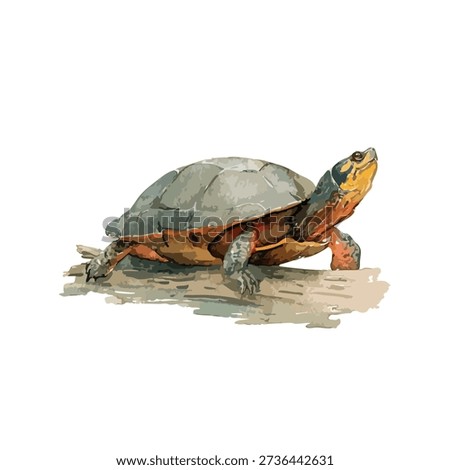 Vibrant vector illustration of a freshwater turtle resting on a log. Ideal for nature, wildlife, and educational projects, or children's book designs.