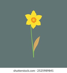 A vibrant vector illustration of a Golden Bells Daffodil flower, perfect for digital products and graphic designs, showcasing its delicate petals and natural beauty in high-quality format.